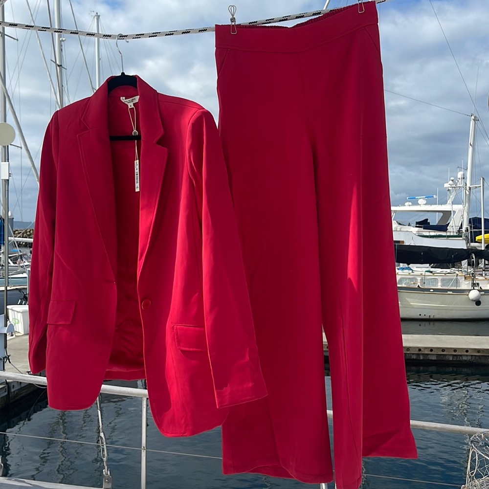 Max Studio London pantsuit